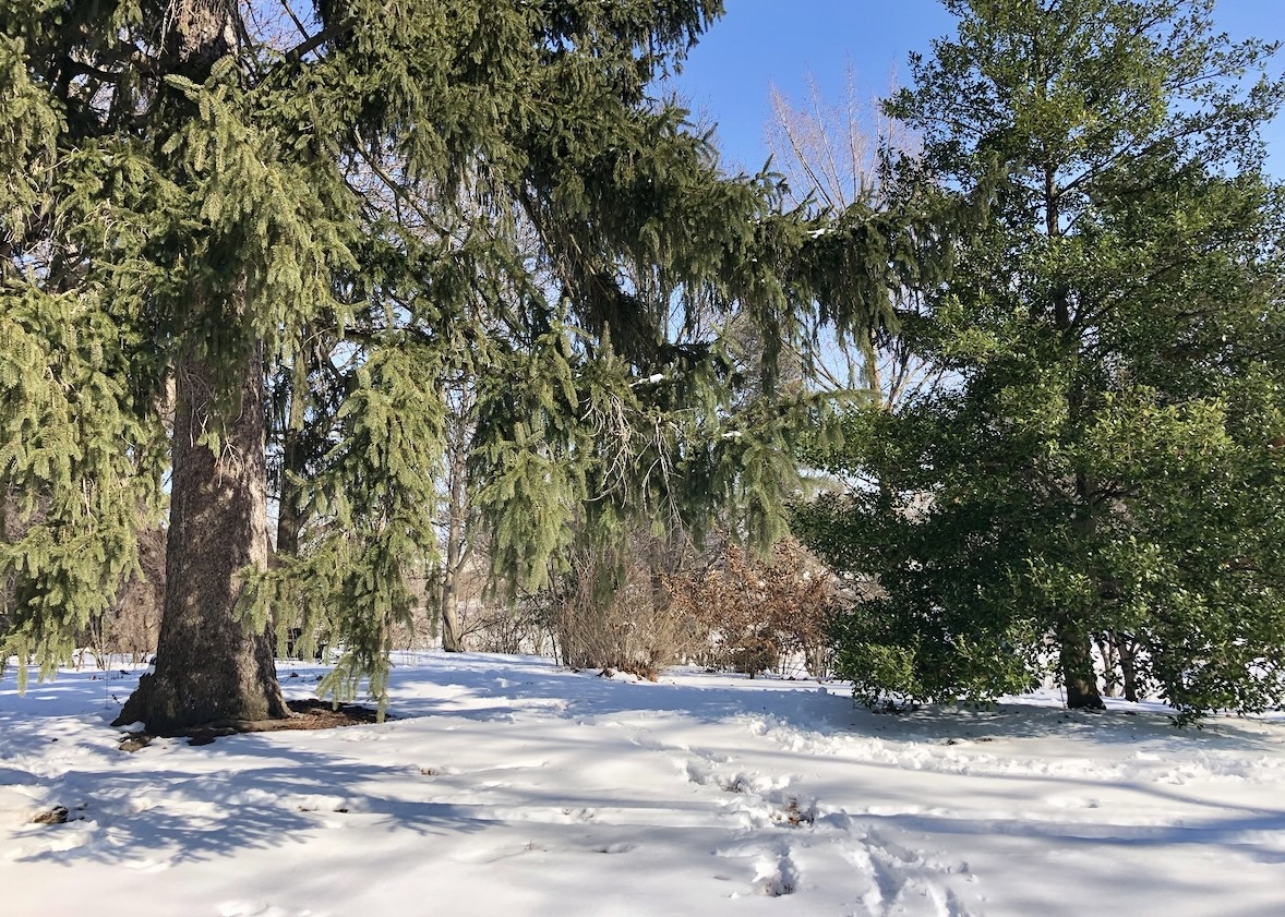 Cache in Cold Scene